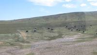0338 Fahrt mit der Tibet-Bahn - &ndash; &copy; Annette Weise (Eberhardt TRAVEL)