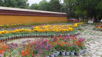0400 Lhasa - Norbu Lingka - Sommerresidenz der Dalai Lama &ndash; &copy; Annette Weise (Eberhardt TRAVEL)