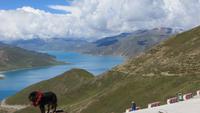 0784 Fahrt nach Gyantse - Khampa Pass – mit Blick auf den Türkissee &ndash; &copy; Annette Weise (Eberhardt TRAVEL)
