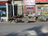 0845 Gyantse - Pferdekarren &ndash; &copy; Annette Weise (Eberhardt TRAVEL)