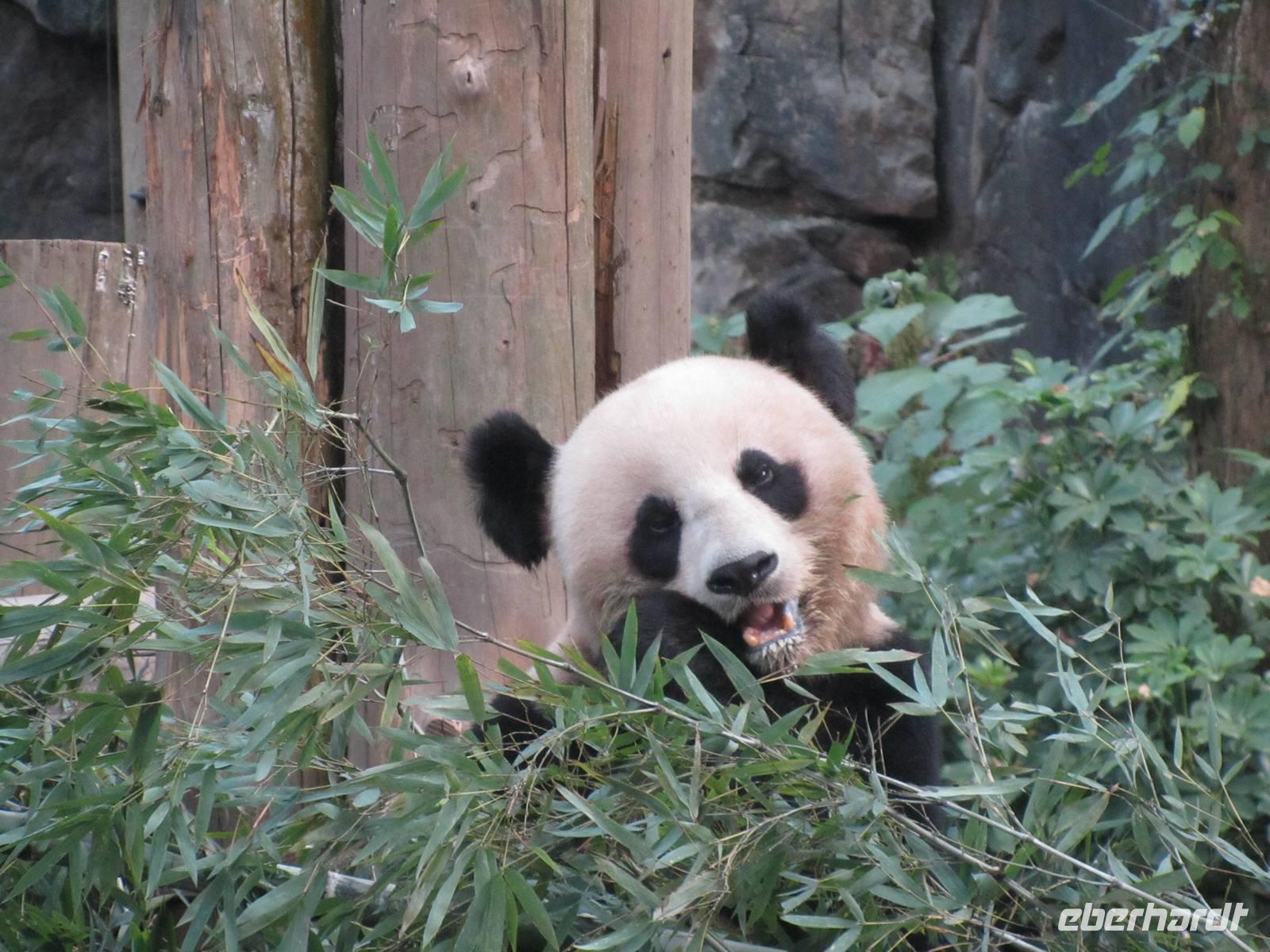 China 2014 0218 &ndash; &copy; Sandra Braune (Eberhardt TRAVEL)