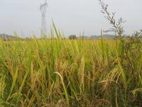 China 2014 0220 &ndash; &copy; Sandra Braune (Eberhardt TRAVEL)