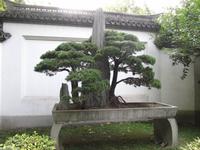 China 2014 0222