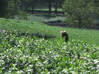 China 2014 0253 &ndash; &copy; Sandra Braune (Eberhardt TRAVEL)
