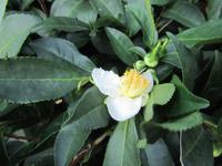 China 2014 0255 &ndash; &copy; Sandra Braune (Eberhardt TRAVEL)