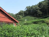 China 2014 0256 &ndash; &copy; Sandra Braune (Eberhardt TRAVEL)