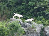 198. Guilin, Li-Flussfahrt &ndash; &copy; Maria Michel (Eberhardt TRAVEL)