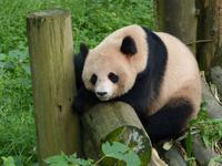 224. Guilin, Siebensterne Park &ndash; &copy; Maria Michel (Eberhardt TRAVEL)