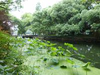 287. Hangzhou beim Westsee &ndash; &copy; Maria Michel (Eberhardt TRAVEL)
