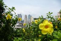 Macao (1) &ndash; &copy; Gabriele Sauer (Eberhardt TRAVEL)