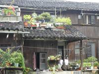 Wuzhen (31) &ndash; &copy; Jörg Nesse (Eberhardt TRAVEL)