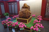 Chinesisches Medizinzentrum &ndash; &copy; Chris Hähnel (Eberhardt TRAVEL)