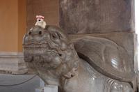 Eberhardt-Bärchen auf Reisen &ndash; &copy; Chris Hähnel (Eberhardt TRAVEL)