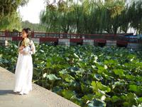 Peking 