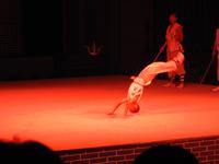 Kung-Fu Show