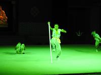 Kung-Fu Show