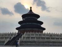 Peking 