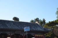Sommerpalast, Peking &ndash; &copy; Helene Johannsen (Eberhardt TRAVEL)