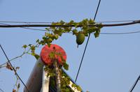 Altes Peking &ndash; &copy; Helene Johannsen (Eberhardt TRAVEL)
