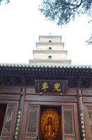 Große Wildganspagode, Xi'an &ndash; &copy; Helene Johannsen (Eberhardt TRAVEL)