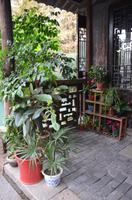 Wasserdorf Wuzhen &ndash; &copy; Helene Johannsen (Eberhardt TRAVEL)