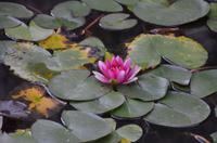 Garten des Verweilen, Suzhou &ndash; &copy; Helene Johannsen (Eberhardt TRAVEL)