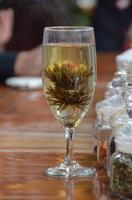 Jasmin-Tee, Romeo &ndash; &copy; Helene Johannsen (Eberhardt TRAVEL)