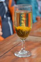 Jasmin-Tee, Julia &ndash; &copy; Helene Johannsen (Eberhardt TRAVEL)