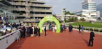 Hong Kong - Pferderennen im Sha Tin Racecourse &ndash; &copy; Jacob Spangenberg (Eberhardt TRAVEL)