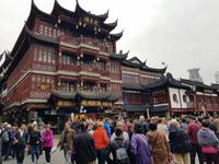 Yu Garten  &ndash; &copy; Isabel Zwanzig (Eberhardt TRAVEL)