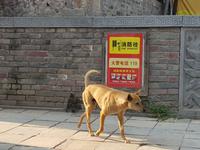 Shaolin Kloster &ndash; &copy; Isabel Zwanzig (Eberhardt TRAVEL)