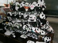PlÜschpandas &ndash; &copy; Kathrin Mickan (Eberhardt TRAVEL)