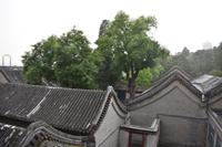 Sommerpalast Peking