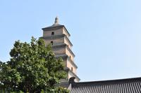 Xi´an - Wildganspagode