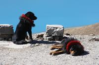 &copy; Anna Stiebing (Eberhardt TRAVEL)