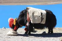 &copy; Anna Stiebing (Eberhardt TRAVEL)