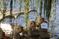 im Nordsee-Park &ndash; &copy; Anna Stiebing (Eberhardt TRAVEL)