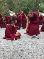 Lhasa - Sera Kloster, Debattierstunde &ndash; &copy; Ralf Mehnert (Eberhardt TRAVEL)