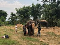 Chitwan Nationalpark &ndash; &copy; Ralf Mehnert (Eberhardt TRAVEL)