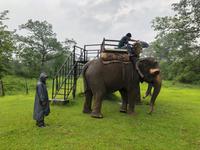 Chitwan Nationalpark - Elefanten-Safari &ndash; &copy; Ralf Mehnert (Eberhardt TRAVEL)
