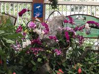 Orchideen Park