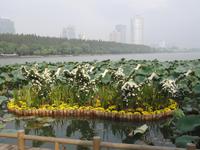 Nanjing - Park Schwarzer-Drachen-See &ndash; &copy; Annette Weise (Eberhardt TRAVEL)
