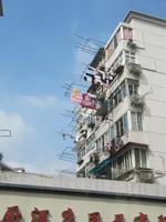 Shanghai - &ndash; &copy; Annette Weise (Eberhardt TRAVEL)