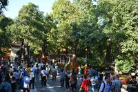 Peking_Verbotene Stadt (12) &ndash; &copy; Franziska Barthel (Eberhardt TRAVEL)