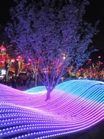 fakultative Lichterfahrt Xi`an (3) &ndash; &copy; Julia Doppke (Eberhardt TRAVEL)