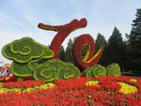 Himmelstempel, Peking (3) &ndash; &copy; Julia Doppke (Eberhardt TRAVEL)