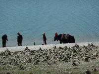 Yak am Türkissee