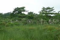 Chiwan Nationalpark