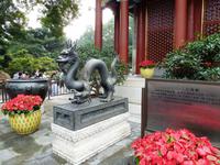 063 Wieder ein Drachen &ndash; &copy; Sandra Schack (Eberhardt TRAVEL)