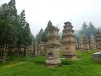 103 Gräberwald &ndash; &copy; Sandra Schack (Eberhardt TRAVEL)
